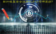 新加坡基金會(huì)注冊代辦公司哪家好？