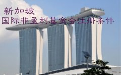 新加坡國際非盈利基金會(huì)注冊(cè)條件