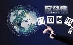 在新加坡注冊基金會做區(qū)塊鏈如何發(fā)幣？