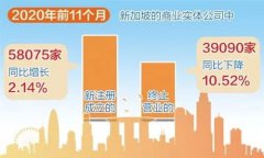 增長！增長！疫情背景下新加坡公司新注冊數(shù)量逆勢增長！