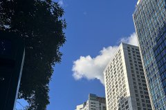 谷歌支付登陸沙特，支付寶于2026年接入，企業(yè)出海中東市場(chǎng)開辟新的合作機(jī)遇