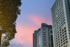 文萊公司類型選擇指南