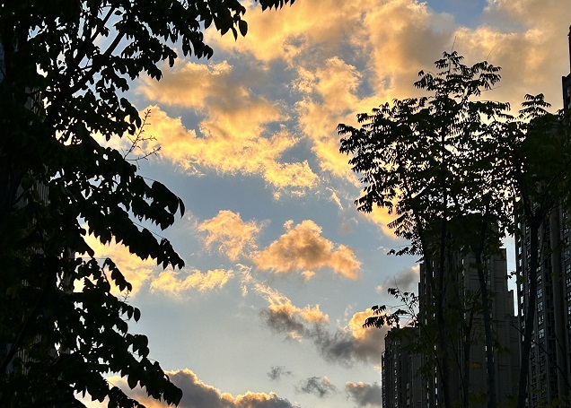 【深度解讀】2025年泰國用工風(fēng)向：合規(guī)＋成本雙維度，避免“無知吃虧”的5大雷區(qū)