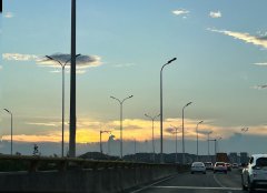 毛里求斯常見(jiàn)公司注冊(cè)類(lèi)型全解析